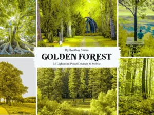 15 golden forest lightroom presets (3) 88115