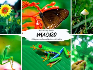 15 macro lightroom presets (3) 88014