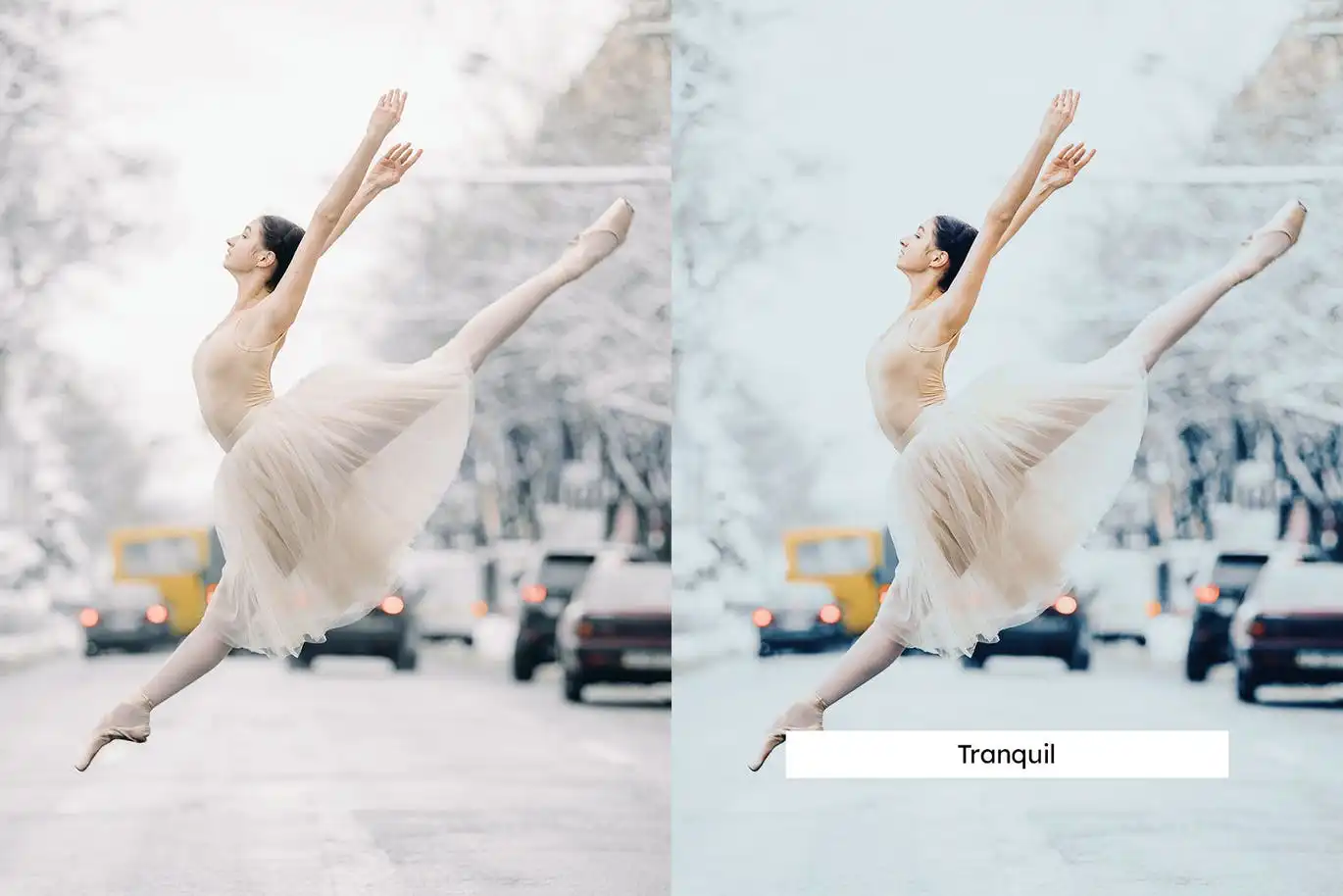 20 Ballet in the City Lightroom Presets and LUTs 10 20 ballet in the city lightroom presets and luts (8) 88257