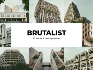 20 brutalist lightroom presets and luts (2) 88585