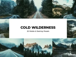 20 cold wilderness lightroom presets & luts (4) 88578