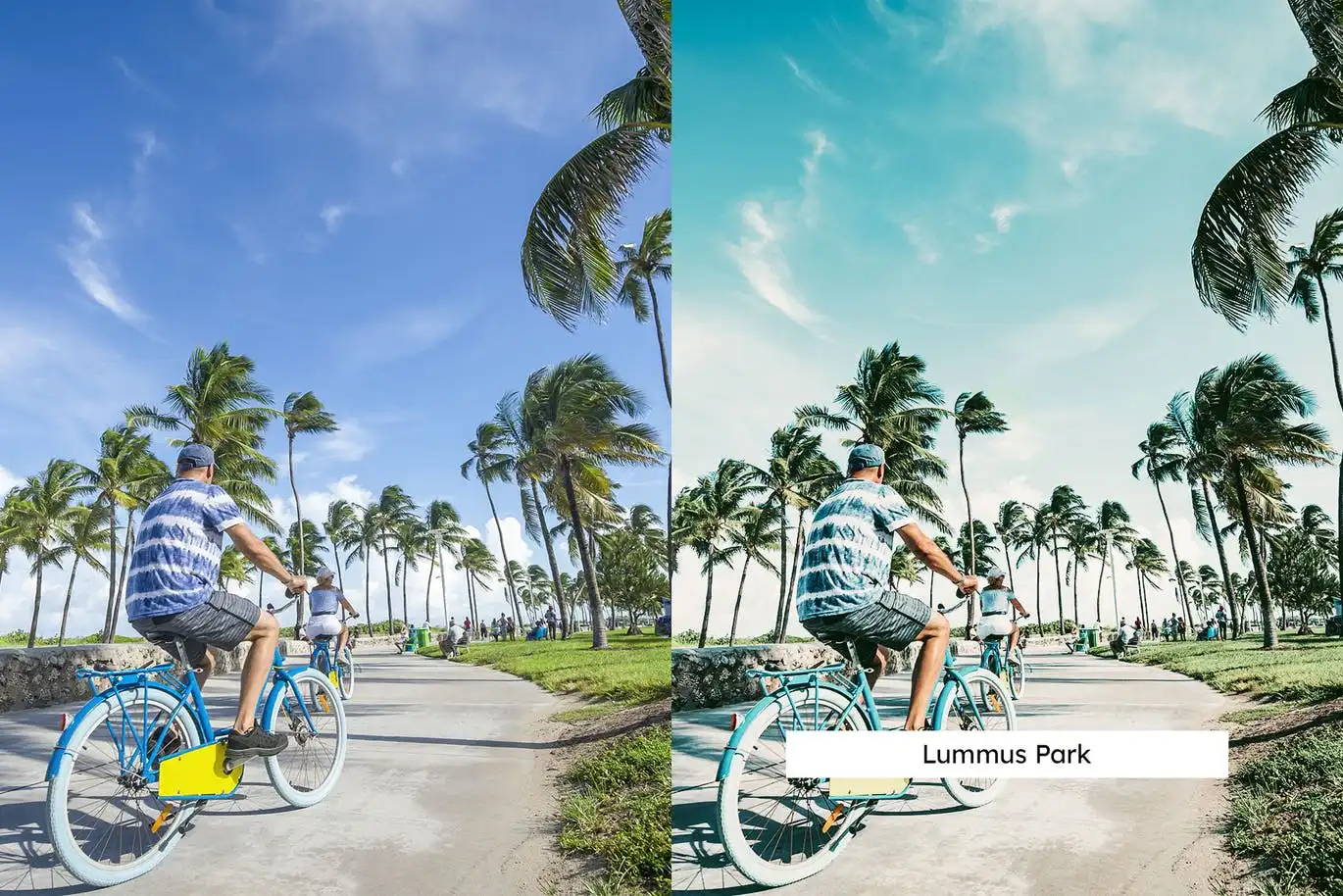 20 Miami Lightroom Presets and LUTs 6 20 miami lightroom presets and luts (5) 88666
