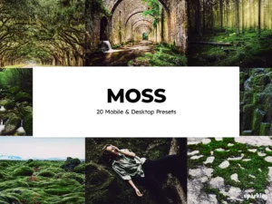 20 moss lightroom presets & luts (7) 88743