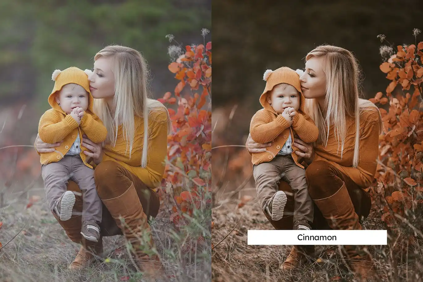 20 Pumpkin Spice Lightroom Presets and LUTs 5 20 pumpkin spice lightroom presets and luts (10) 88566
