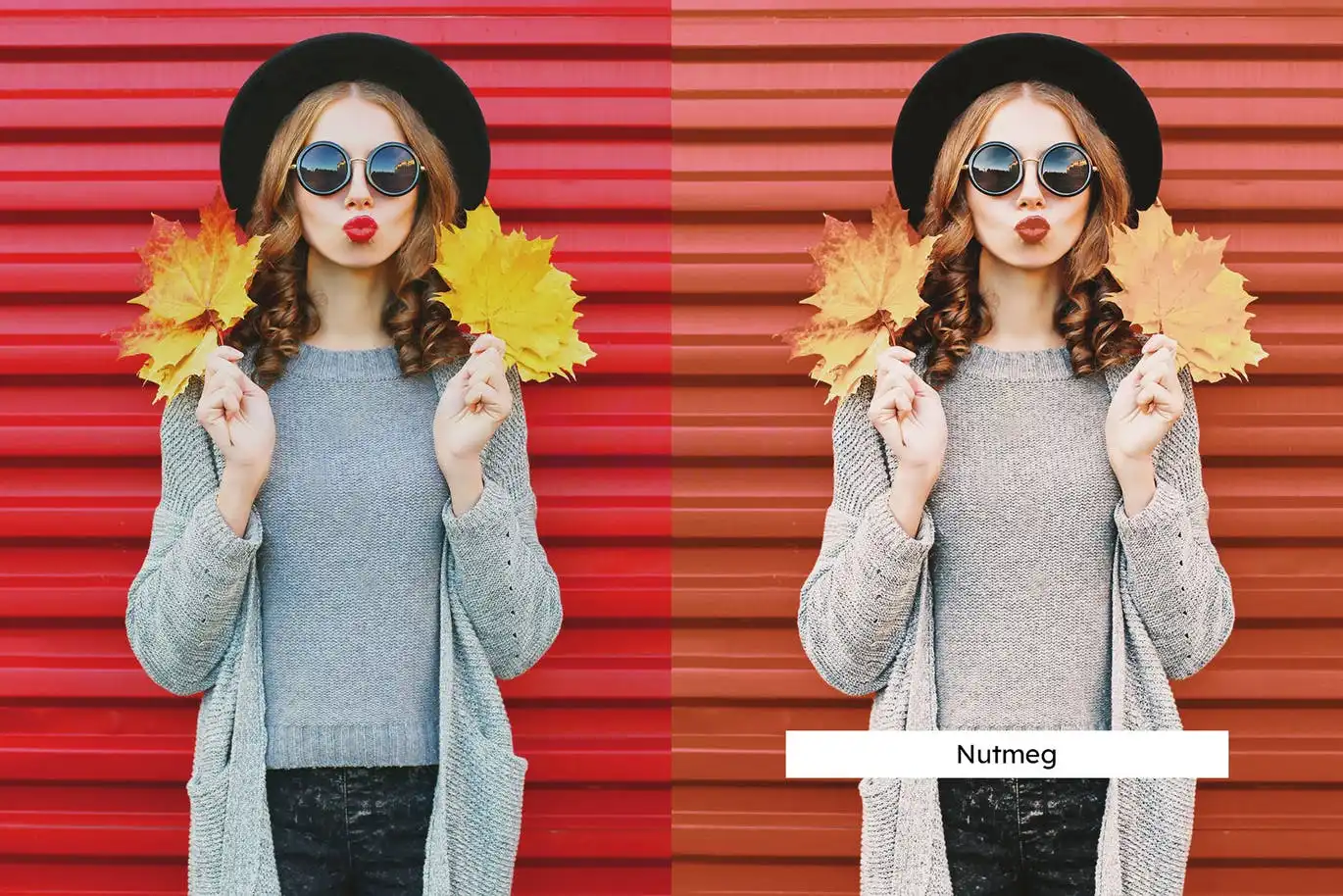 20 Pumpkin Spice Lightroom Presets and LUTs 4 20 pumpkin spice lightroom presets and luts (2) 88608