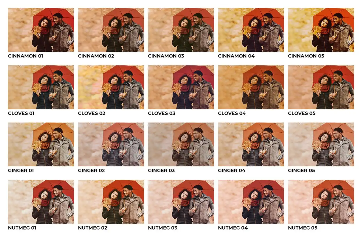 20 Pumpkin Spice Lightroom Presets and LUTs 3 20 pumpkin spice lightroom presets and luts (3) 88612