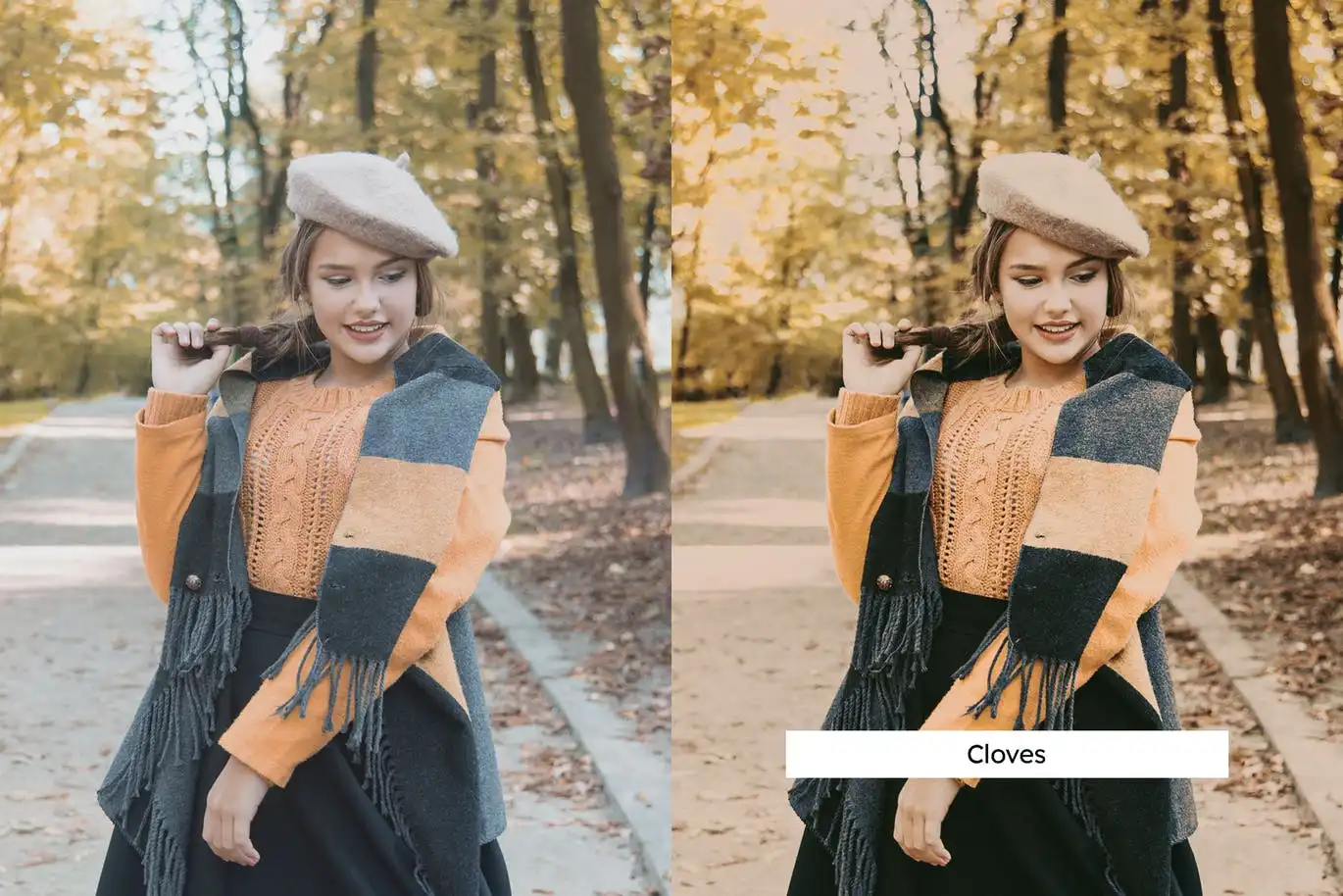 20 Pumpkin Spice Lightroom Presets and LUTs 7 20 pumpkin spice lightroom presets and luts (4) 88560