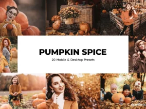 20 pumpkin spice lightroom presets and luts (8) 88605