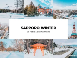 20 sapporo winter lightroom presets and luts (4) 88660