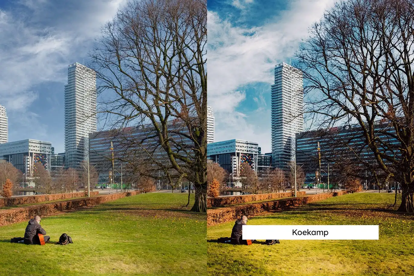20 The Hague Lightroom Presets and LUTs 3 20 the hague lightroom presets and luts (10) 88756