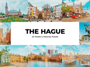 20 the hague lightroom presets and luts (8) 88706