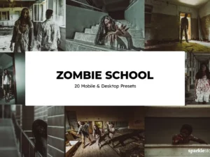 20 zombie school lightroom presets and luts (7) 88508