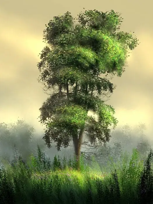Aaron Blaise Photoshop Foliage Brush Set 2 aaron blaise photoshop foliage brush set2 84517