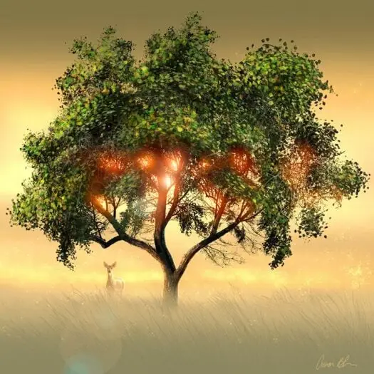 Aaron Blaise Photoshop Foliage Brush Set 6 aaron blaise photoshop foliage brush set3 84518