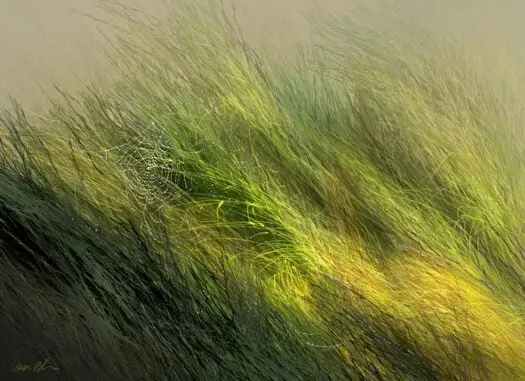 Aaron Blaise Photoshop Foliage Brush Set 4 aaron blaise photoshop foliage brush set5 84520