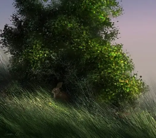 Aaron Blaise Photoshop Foliage Brush Set 3 aaron blaise photoshop foliage brush set6 84521