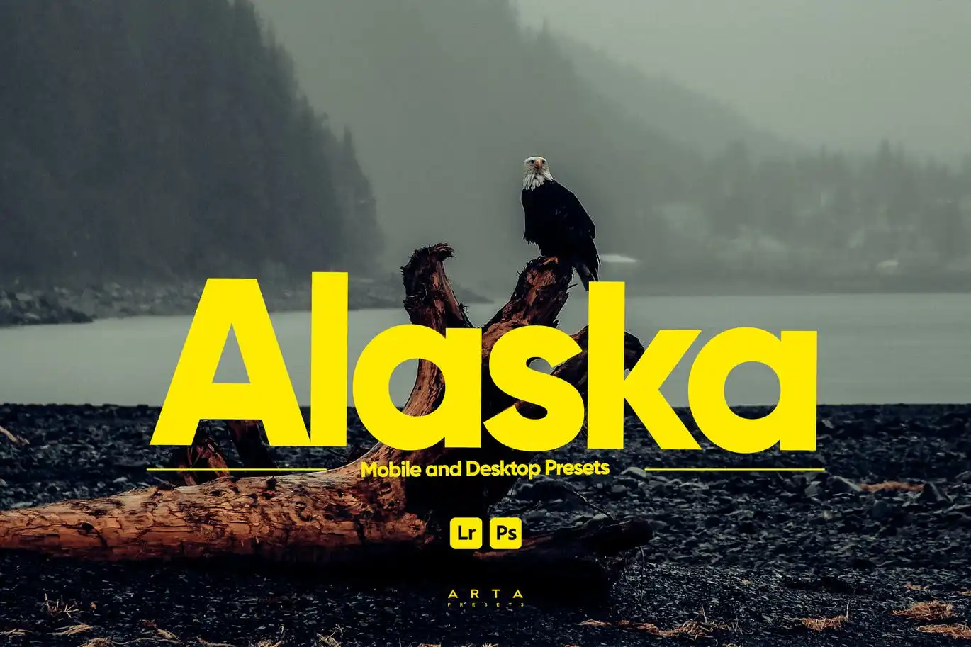ARTA - Alaska Presets for Lightroom
