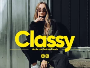 arta classy presets for lightroom (4) 85261