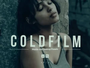 arta cold film presets for lightroom (3) 85129