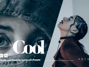 arta cool presets for lightroom (1) 85262