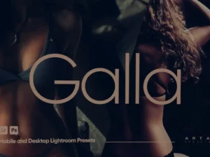arta galla presets for lightroom (3) 85058