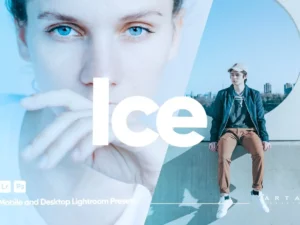 arta ice presets for lightroom (4) 85135