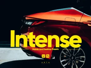 arta intense presets for lightroom (1) 85158