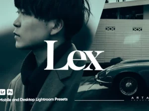 arta lex presets for lightroom (1) 85180