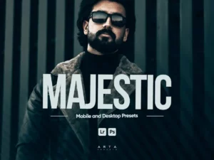 arta majestic presets for lightroom (1) 85103