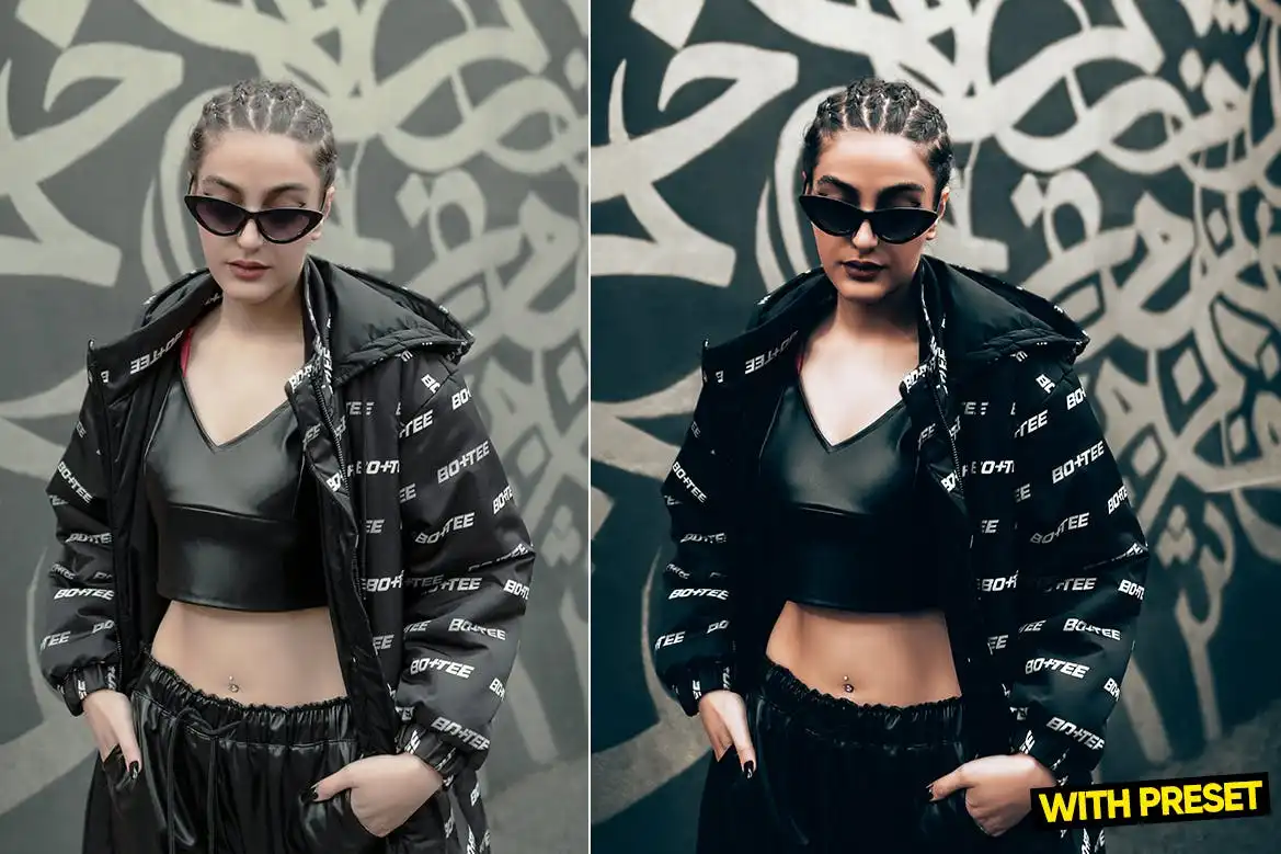 ARTA - Majestic Presets for Lightroom 5 arta majestic presets for lightroom (4) 85195