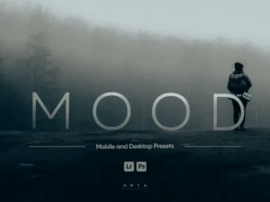 arta mood presets for lightroom (3) 85060