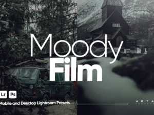 arta moody film presets for lightroom (5) 85377