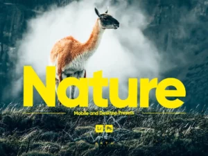 arta nature presets for lightroom (1) 85409