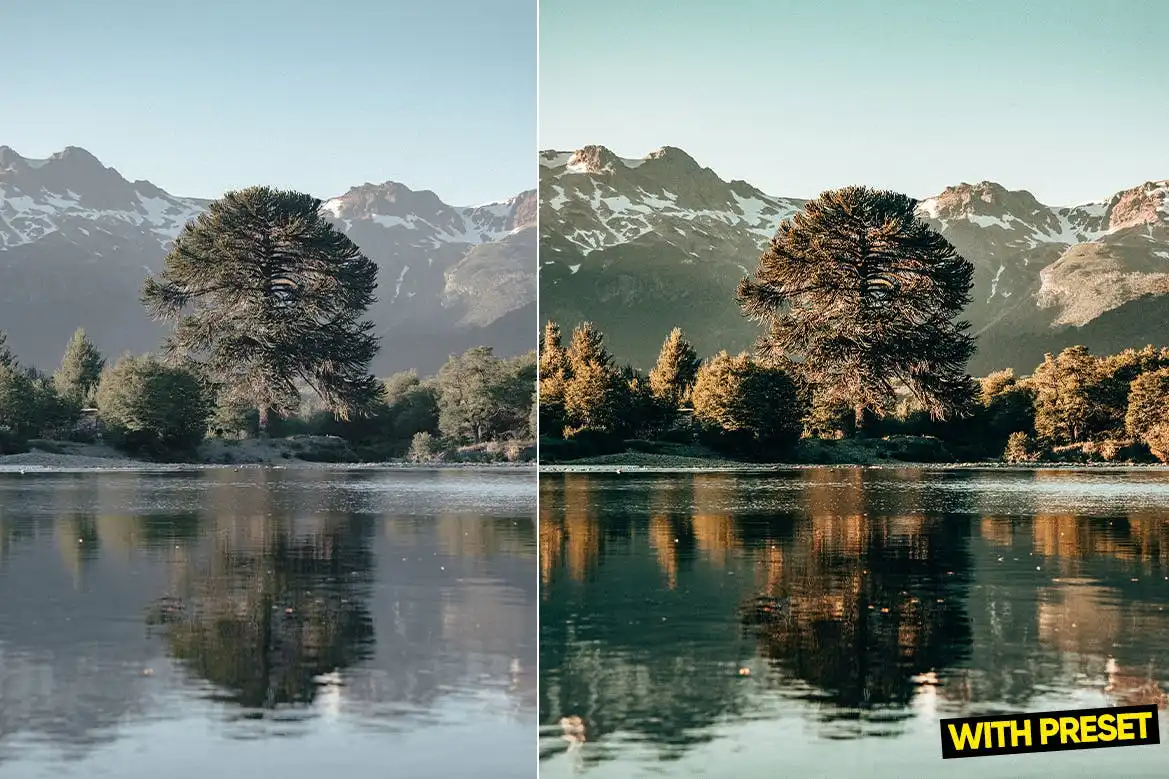 ARTA - Nature Presets for Lightroom 5 arta nature presets for lightroom (2) 85324