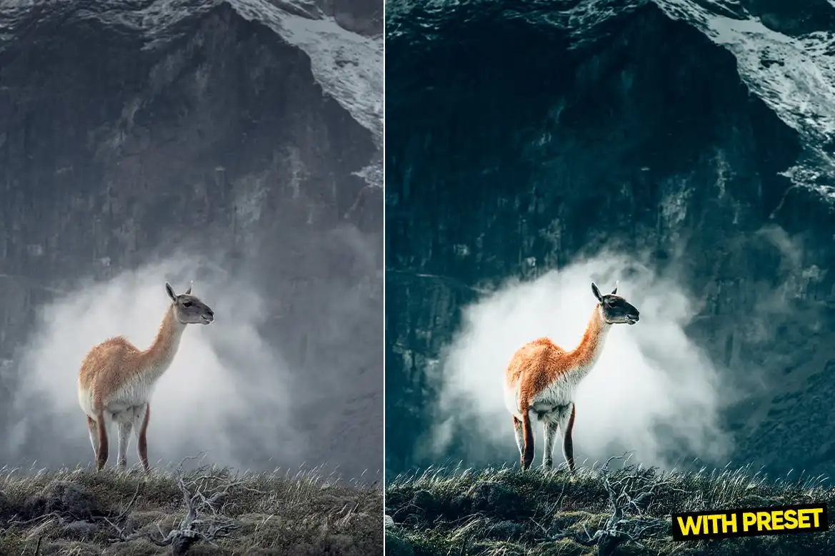 ARTA - Nature Presets for Lightroom 6 arta nature presets for lightroom (5) 85206