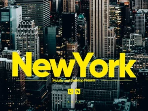 arta newyork presets for lightroom (1) 85446