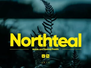 arta northteal presets for lightroom (1) 85094