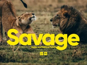 arta savage presets for lightroom (2) 85414