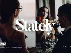 arta stately presets for lightroom (5) 85107