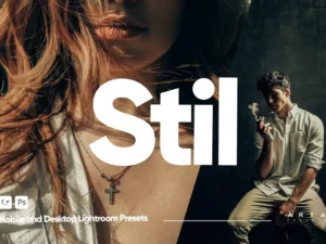 arta stil presets for lightroom (5) 85365
