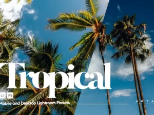 arta tropical presets for lightroom (3) 85441