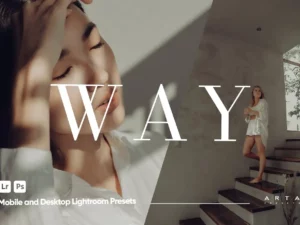 arta way presets for lightroom 85105