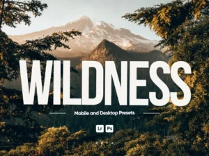 arta wildness presets for lightroom (2) 85447