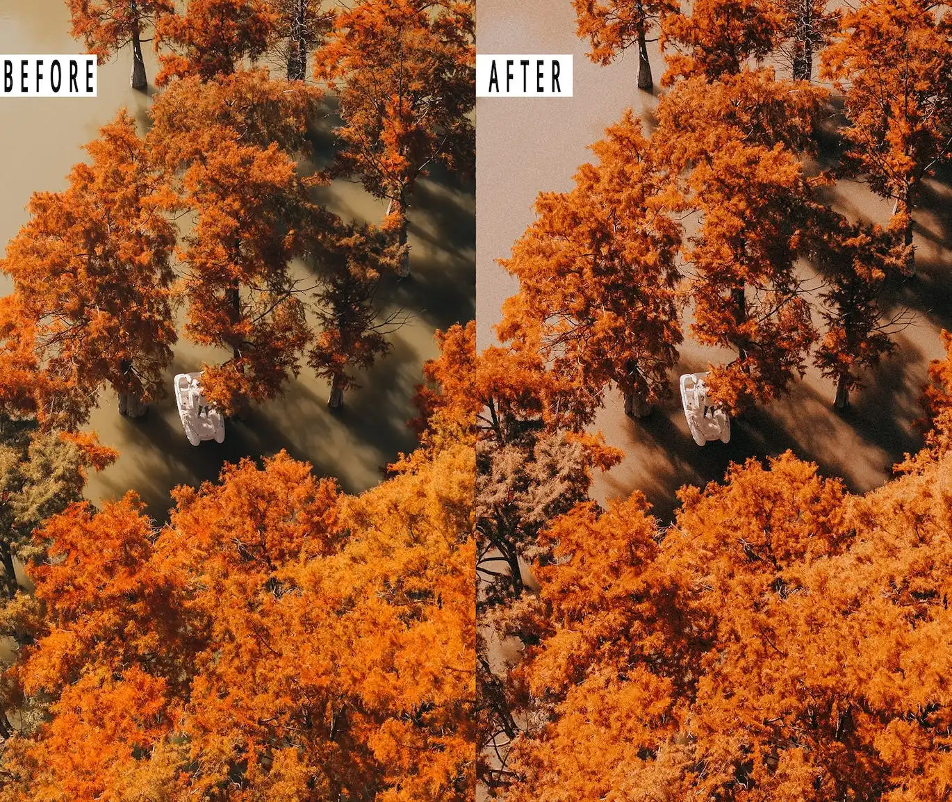 Autumn Photoshop Action & Lightrom Presets 4 autumn photoshop action & lightrom preset ( (5) 87844
