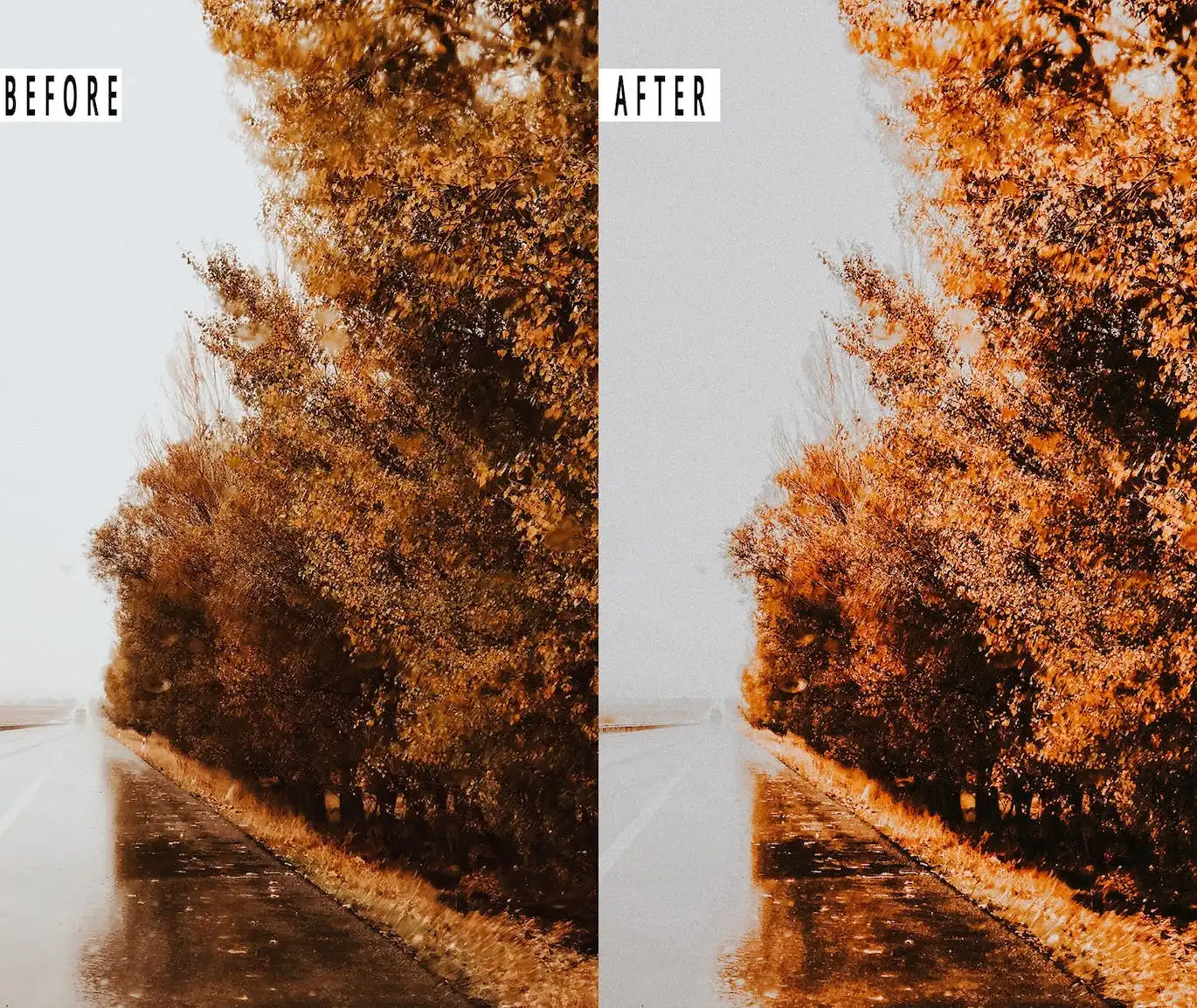Autumn Photoshop Action & Lightrom Presets 5 autumn photoshop action & lightrom preset ( (6) 87843