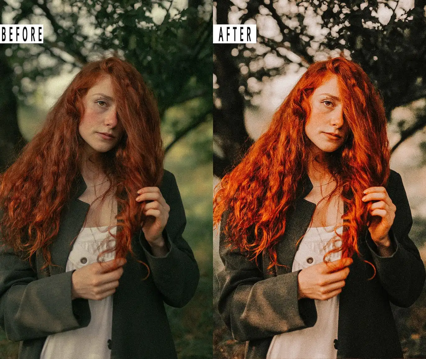 Autumn Photoshop Action & Lightrom Presets 6 autumn photoshop action & lightrom preset ( 87836