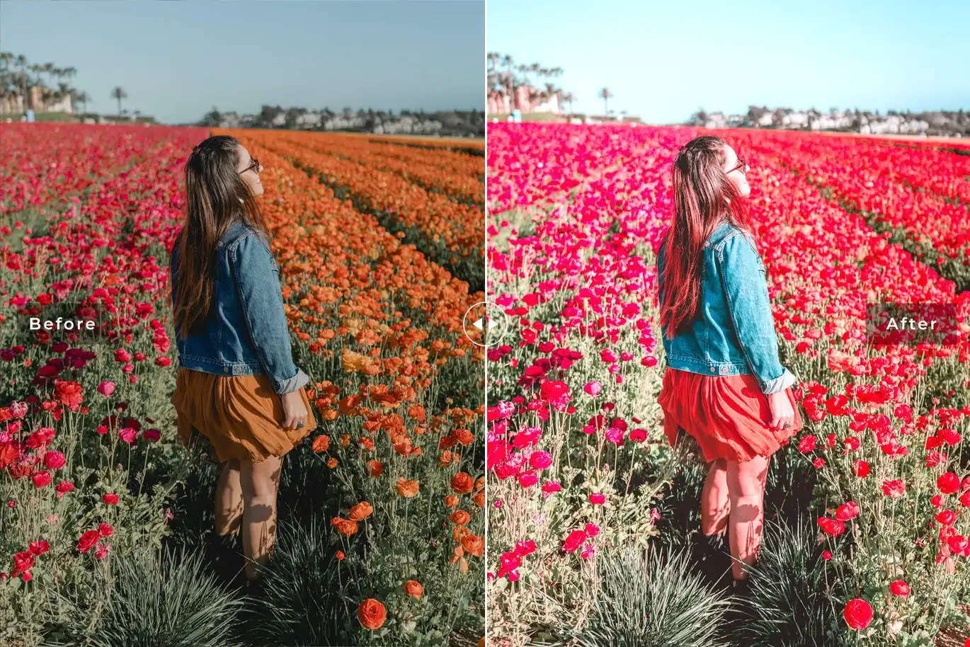 Billbergia Mobile & Desktop Lightroom Presets 3 billbergia mobile & desktop lightroom presets (2) 86904