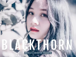 blackthorn mobile & desktop lightroom presets (1) 86208