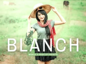blanch mobile & desktop lightroom presets (1) 86132