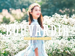 bouvardia mobile & desktop lightroom presets 1 (5) 86666